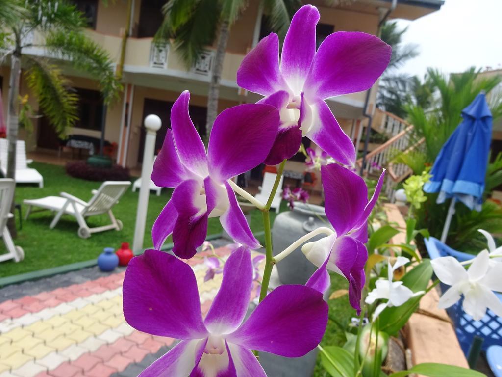 Hilda Guest House Хиккадува Экстерьер фото