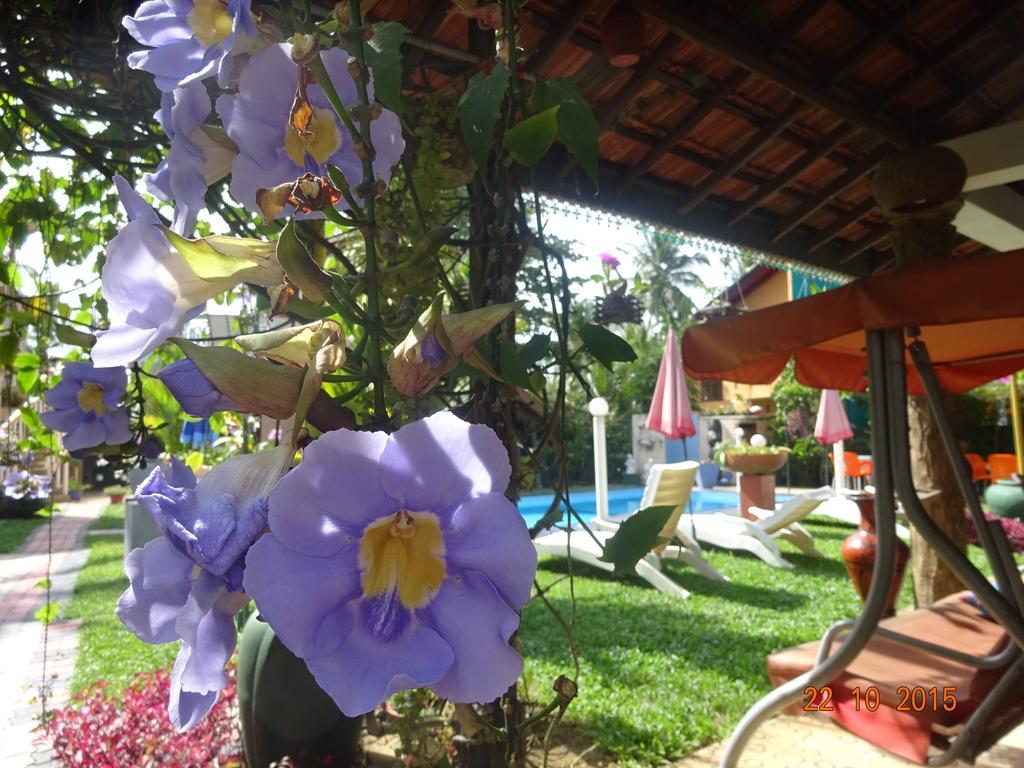 Hilda Guest House Хиккадува Экстерьер фото