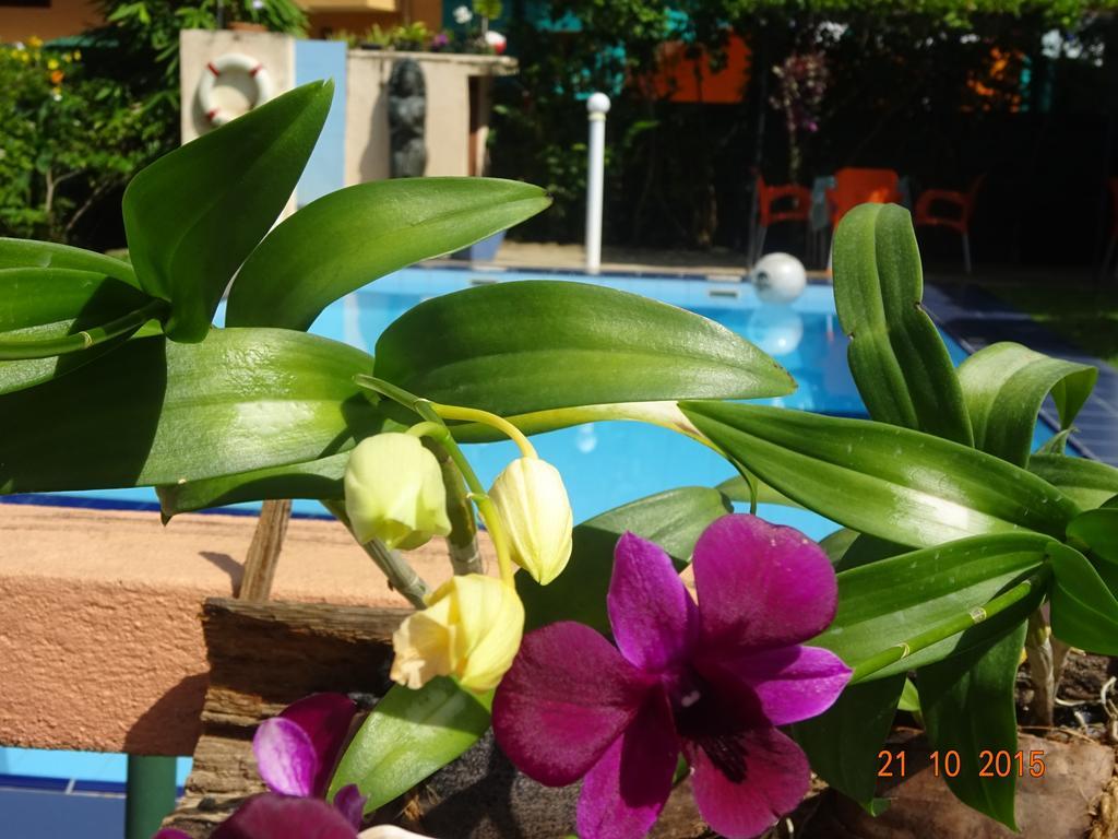 Hilda Guest House Хиккадува Экстерьер фото